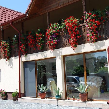 Pensiunea Casa Filoxenia Horezu Esterno foto