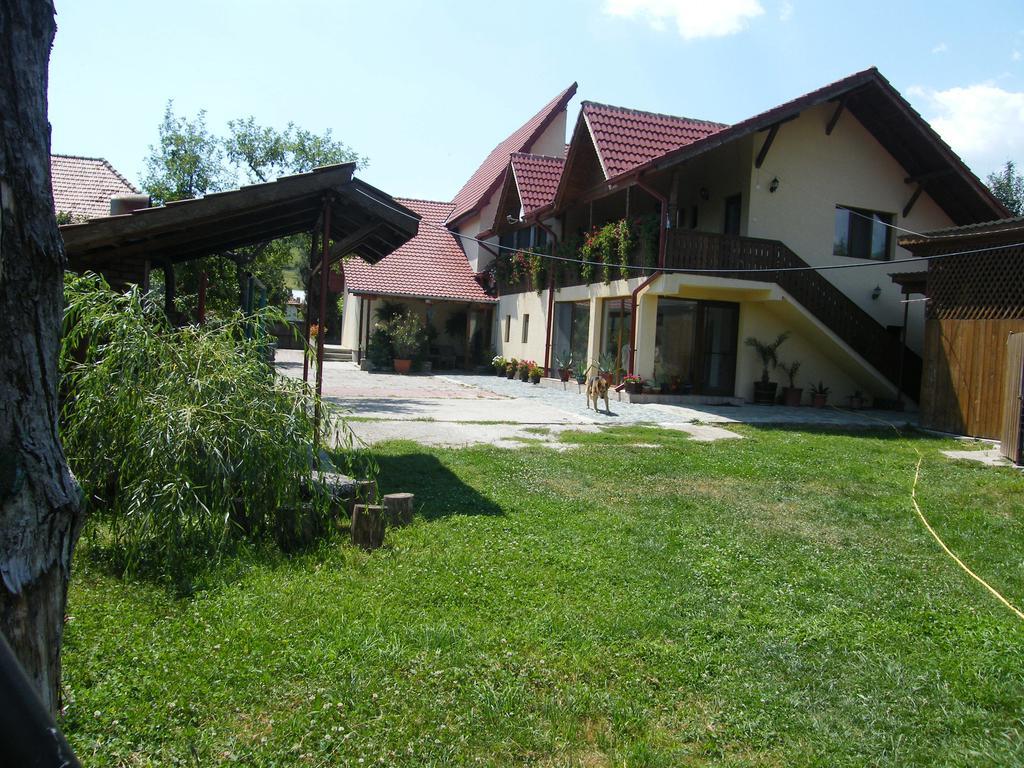 Pensiunea Casa Filoxenia Horezu Esterno foto