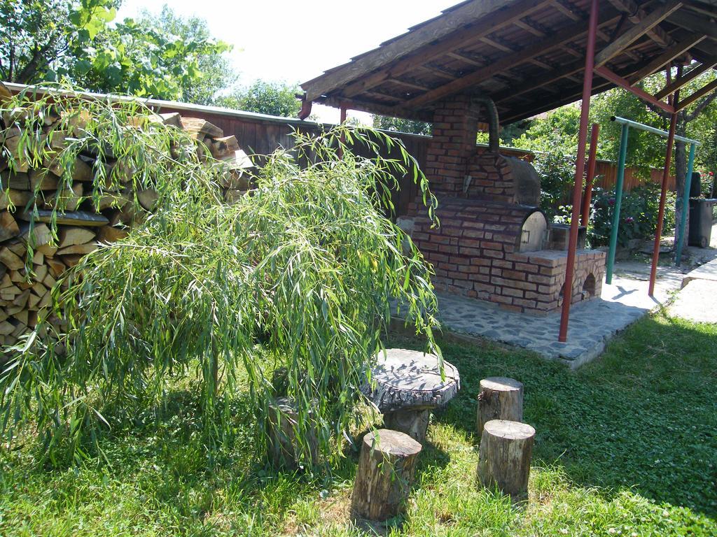 Pensiunea Casa Filoxenia Horezu Esterno foto