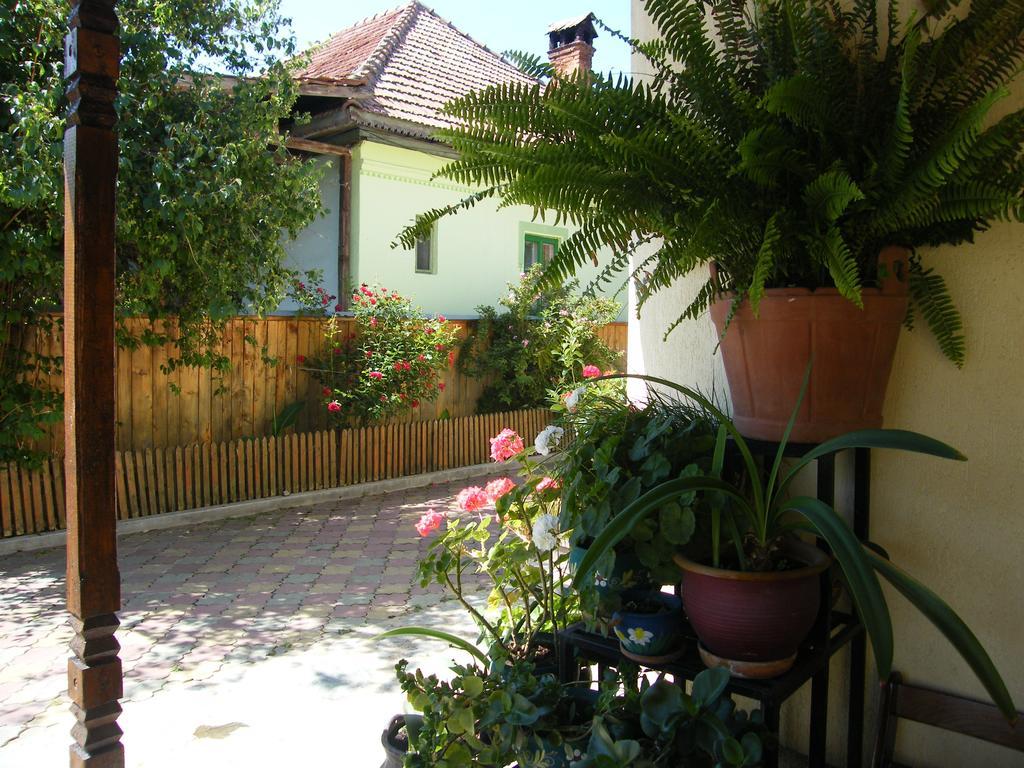 Pensiunea Casa Filoxenia Horezu Esterno foto