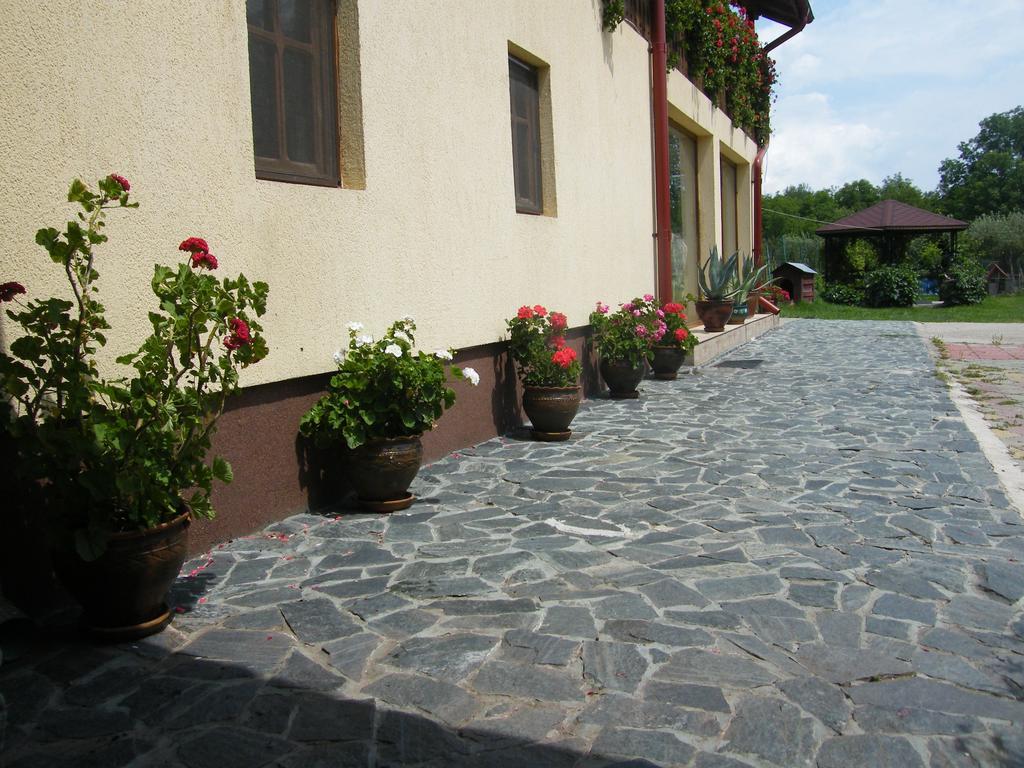 Pensiunea Casa Filoxenia Horezu Esterno foto