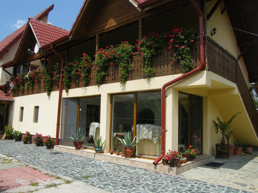Pensiunea Casa Filoxenia Horezu Esterno foto