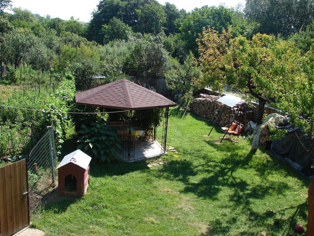 Pensiunea Casa Filoxenia Horezu Esterno foto