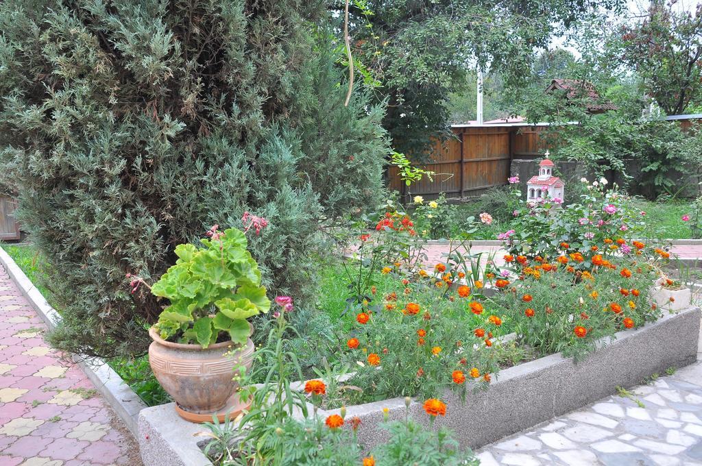 Pensiunea Casa Filoxenia Horezu Esterno foto