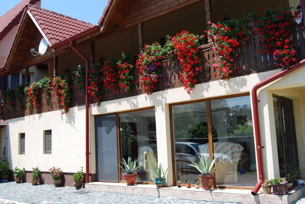 Pensiunea Casa Filoxenia Horezu Esterno foto