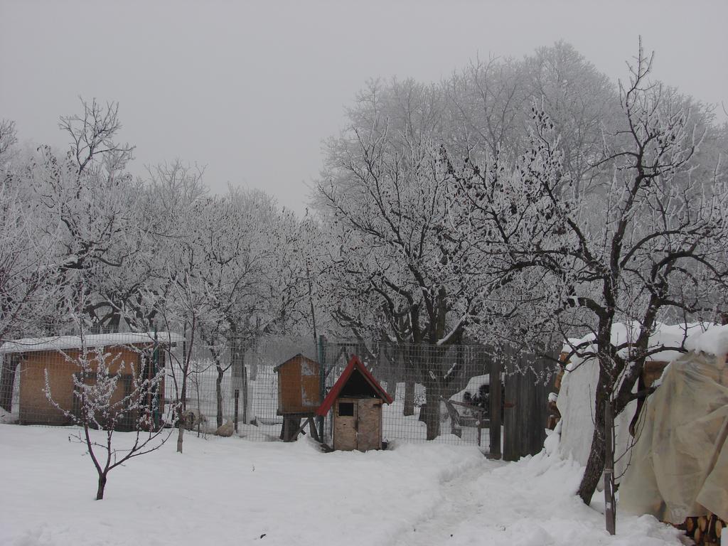 Pensiunea Casa Filoxenia Horezu Esterno foto